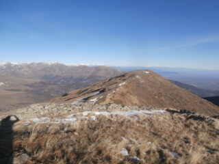 Cervetto pronto per lo sci d'erba