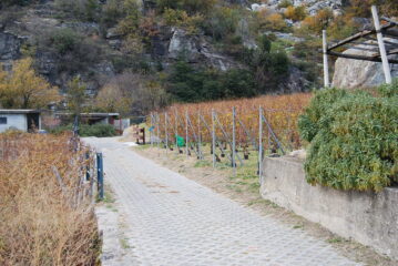 L’arrivo nei vigneti di Donnas