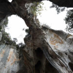 Tetto bucato della grotta