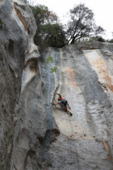 Molti arrampicatori
