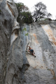 Molti arrampicatori