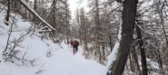 Salendo il bosco del Grand Roc