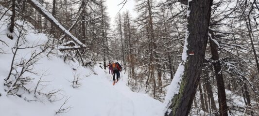 Salendo il bosco del Grand Roc
