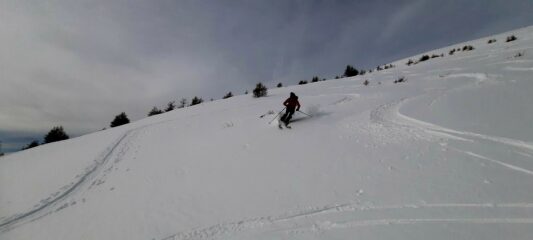 Il freddo ha mantenuto bene la farina anche su expo poco favorevoli