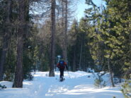 salita a tratti sostenuta nel bosco