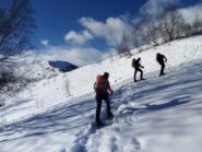 all'uscita del bosco