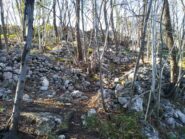 Verso la sommità del castellaro di Verezzi