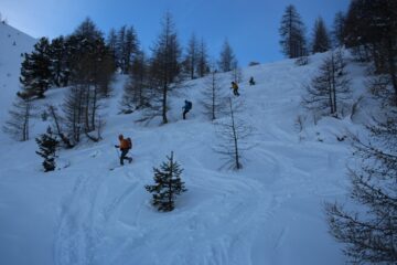 specialista del telemark