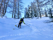 Curve nel lariceto