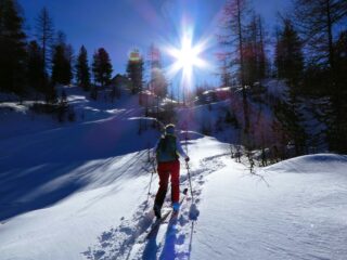 Salendo verso Baita Gimont