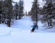 Nel bel valloncello lato Val Troncea