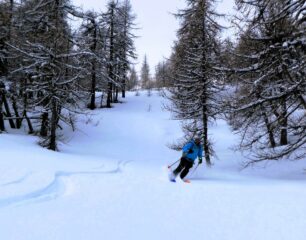 Nel bel valloncello lato Val Troncea