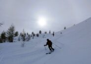 Silvia sui bei pendii est sotto la cima