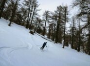 Radure con bella neve nel bosco