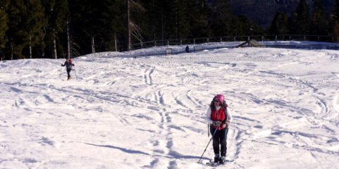 SALENDO DOPO BAR BIANCO