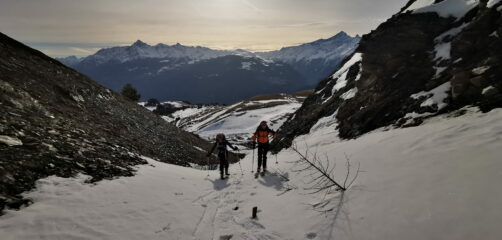 Alla ricerca di lingue di neve