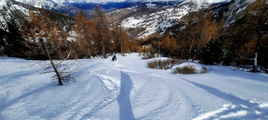 Farina recente su buon fondo