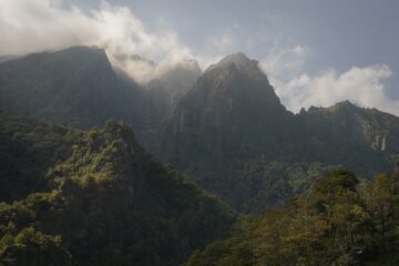 settima ora di cammino, circa tre quarti del percorso. nel cuore di tenebra, tra jurassic park e apocalypse now. 