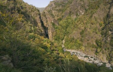 finalmente l'arca in vista