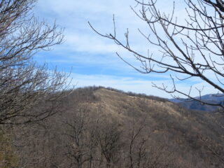 Il Bric dalla selletta