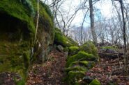 Un tratto di sentiero poco a monte della Borgata Piane.