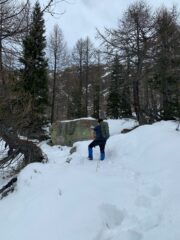 Cercando i segni tra Meccia e Sonobierg