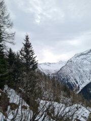 Salendo nel bosco