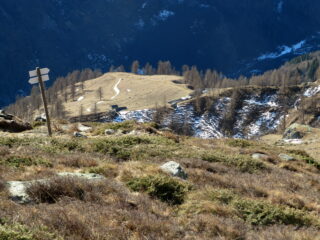 Bivio Gramont- alpeggi Vasuera