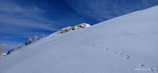 La salita al Monte Fronte' 