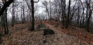 Monte Orsetto