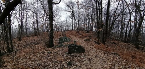 Monte Orsetto