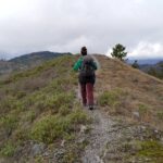 Sul crinale presso il Poggio dell' Alpe