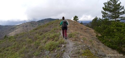 Sul crinale presso il Poggio dell' Alpe