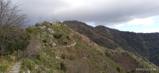 Verso il Poggio Grande (m.802)