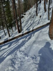 Non sempre il bosco è nostro amico!