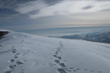Appena sotto la Razil
