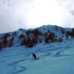 All'ingresso del rado lariceto