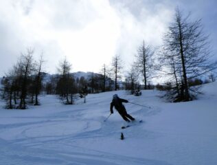 Fondo più compatto in basso