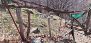 bivio alpe colla