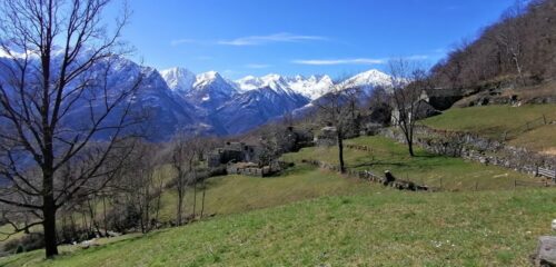 Biugno