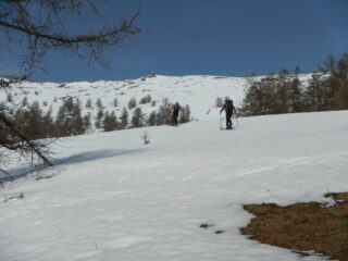pendii aperti nel bosco....