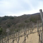 La Garina e dorsale di discesa