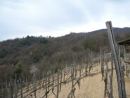 La Garina e dorsale di discesa