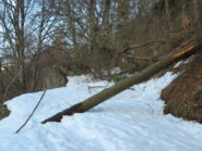 Tante piante sul percorso