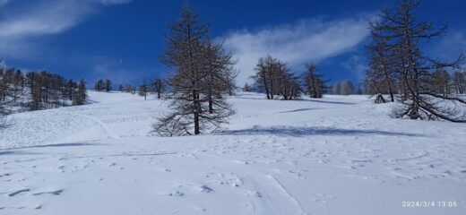 Parte superiore del costone 