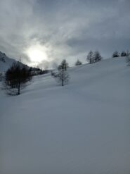 Dal lago pendii intonsi