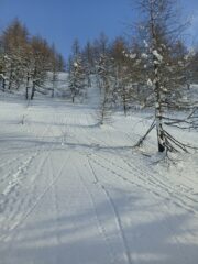 Pendii sulla dorsale N