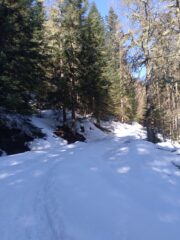 La provinciale per Monesi