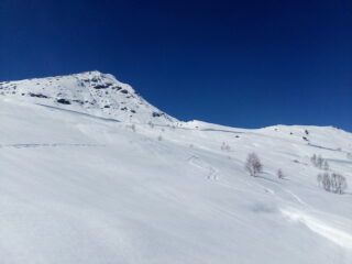 La parte alta dell'itinerario vista da poco sotto i 1600 m di quota.