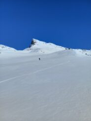 Belle curve in discesa super!